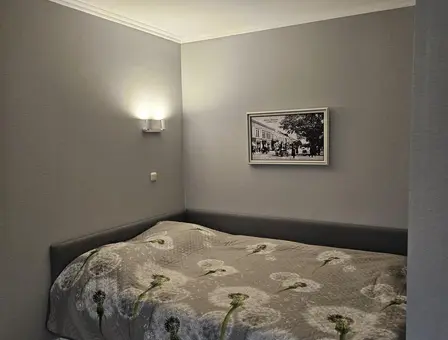 Вид квартиры на сутки, Брест, переулок 3-ий Заводской 34А — фото 3