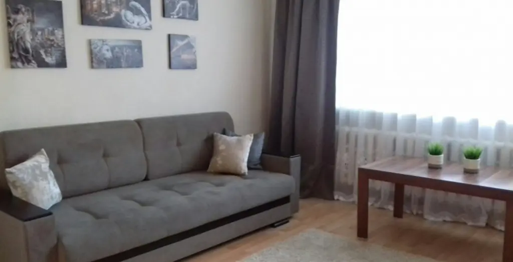 One-bedroom apartment for daily rent in Brest, Papanina str. 6/1