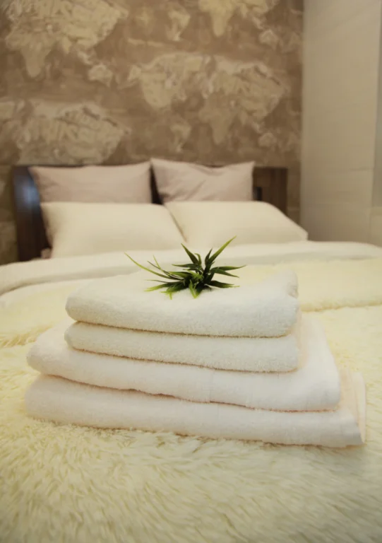 Квартира посуточно Брест, ул. Гоголя 81А — фото интерьера